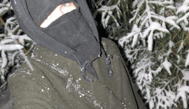 pretty winter walk in the forest at night