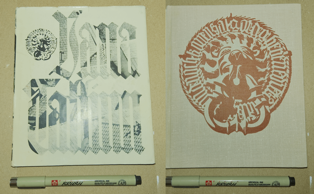 Should I contact some archive or library to upload my scans of these?