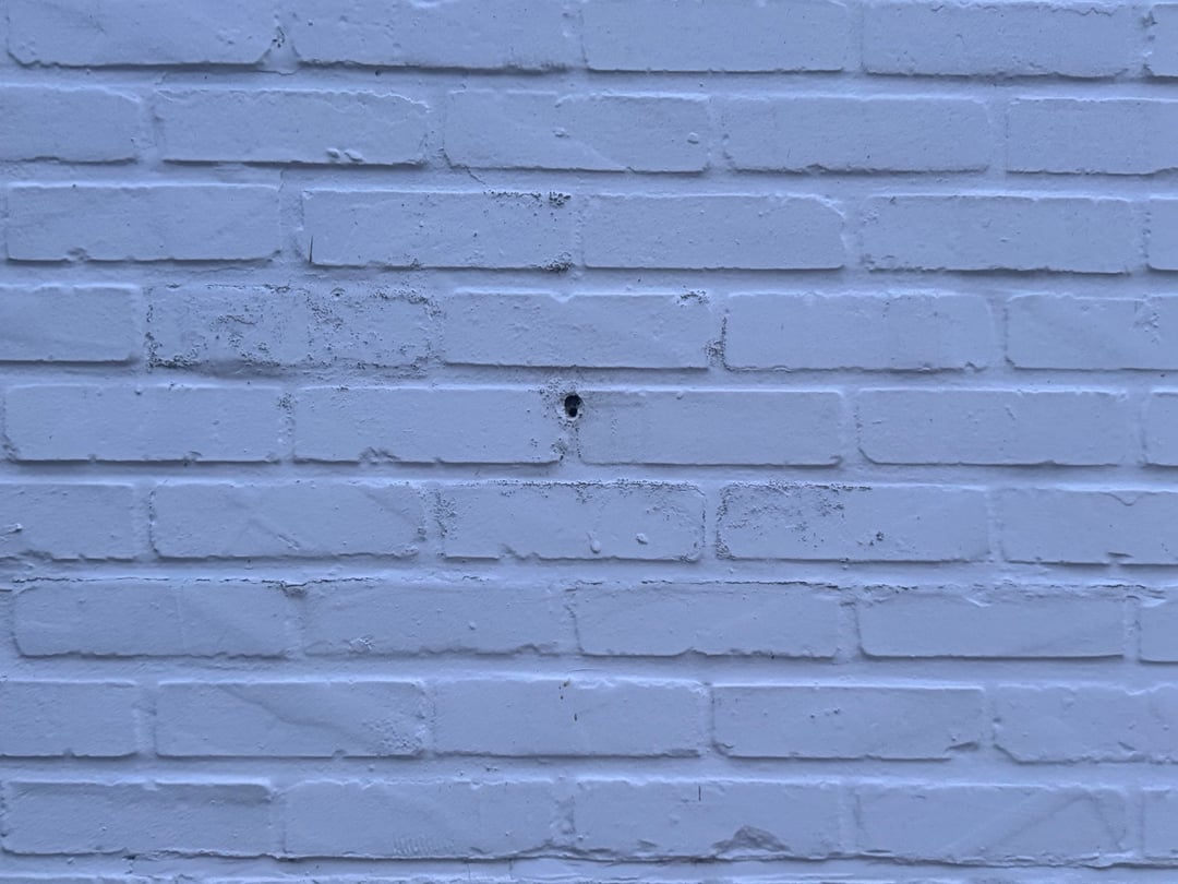 What are these holes in my bricks ?