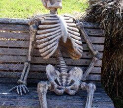 Jaz ko čakam da trgovci spustijo cene ki so jih nabili med inflacijo medtem ko se vsi kregajo da bo višji minimalc dvignil cene.