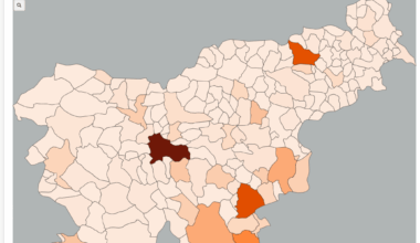 Število izvršb na socialno pomoč po občinah