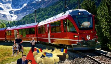 Este miercuri, flăcăii mei!