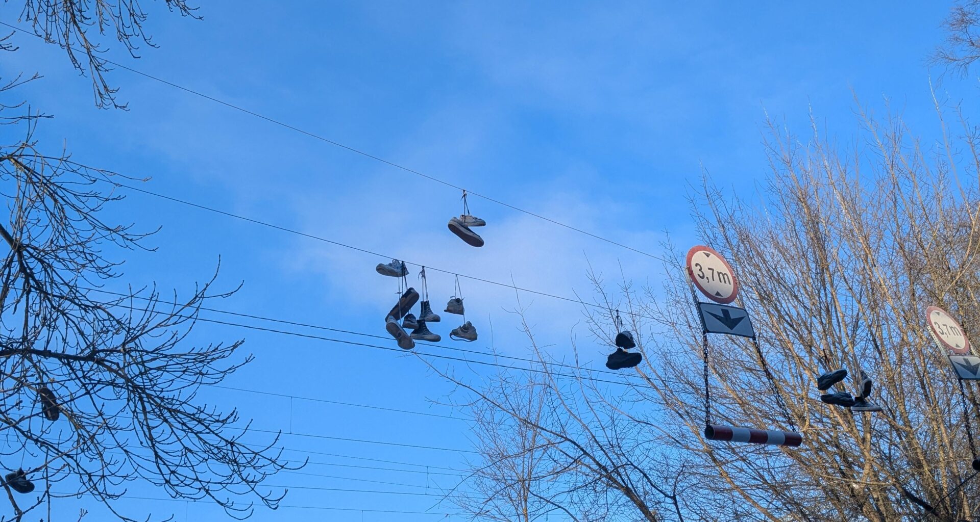 Üleskutse tallinlastele