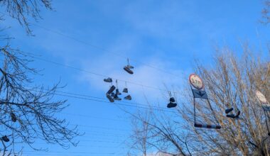 Üleskutse tallinlastele