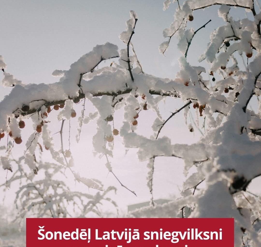 Pēc ilgiem laikiem iegāju Facebook un iemācījos jaunus vārdus