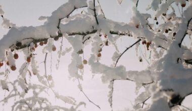 Pēc ilgiem laikiem iegāju Facebook un iemācījos jaunus vārdus