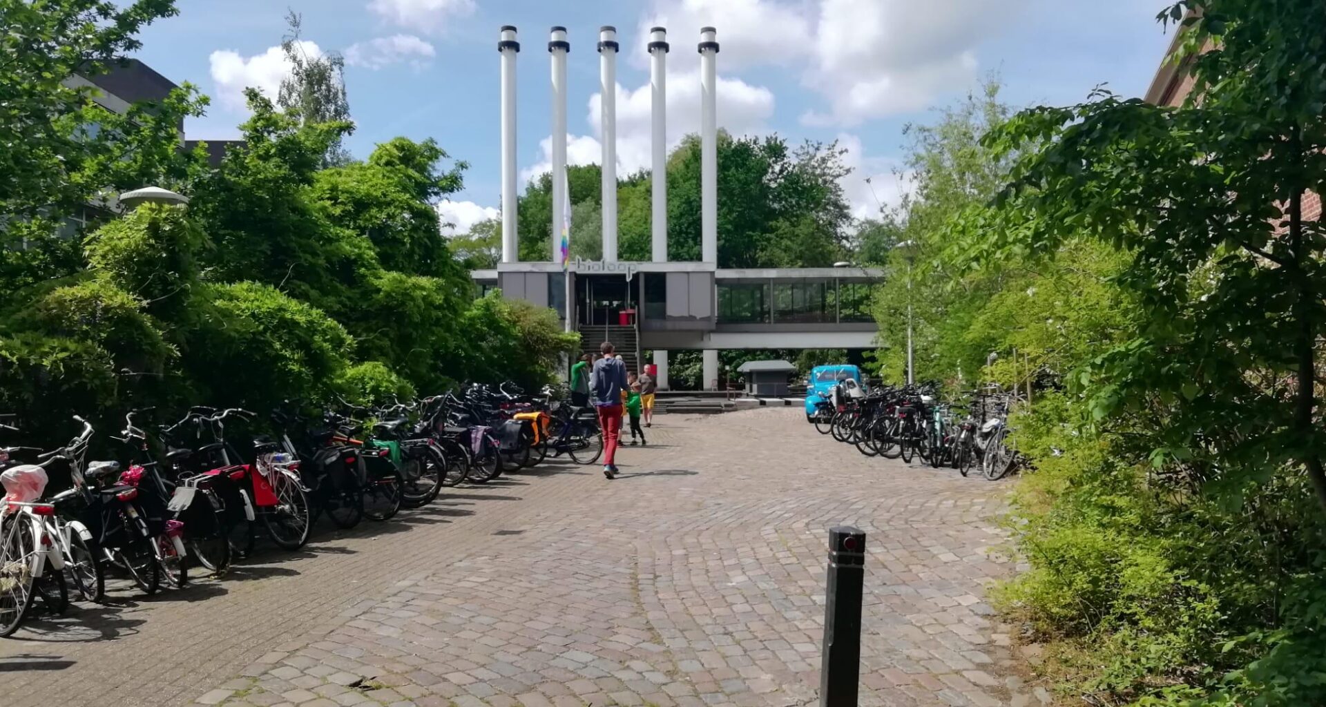 Hortus en Biotoop pleiten voor behoud en eisen volwaardige plek aan tafel: “Kap geen bos om een bos te planten”
