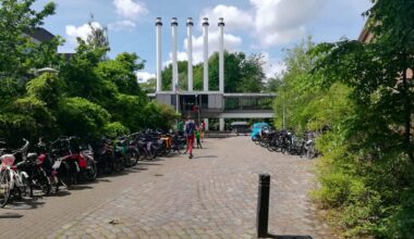 Hortus en Biotoop pleiten voor behoud en eisen volwaardige plek aan tafel: “Kap geen bos om een bos te planten”