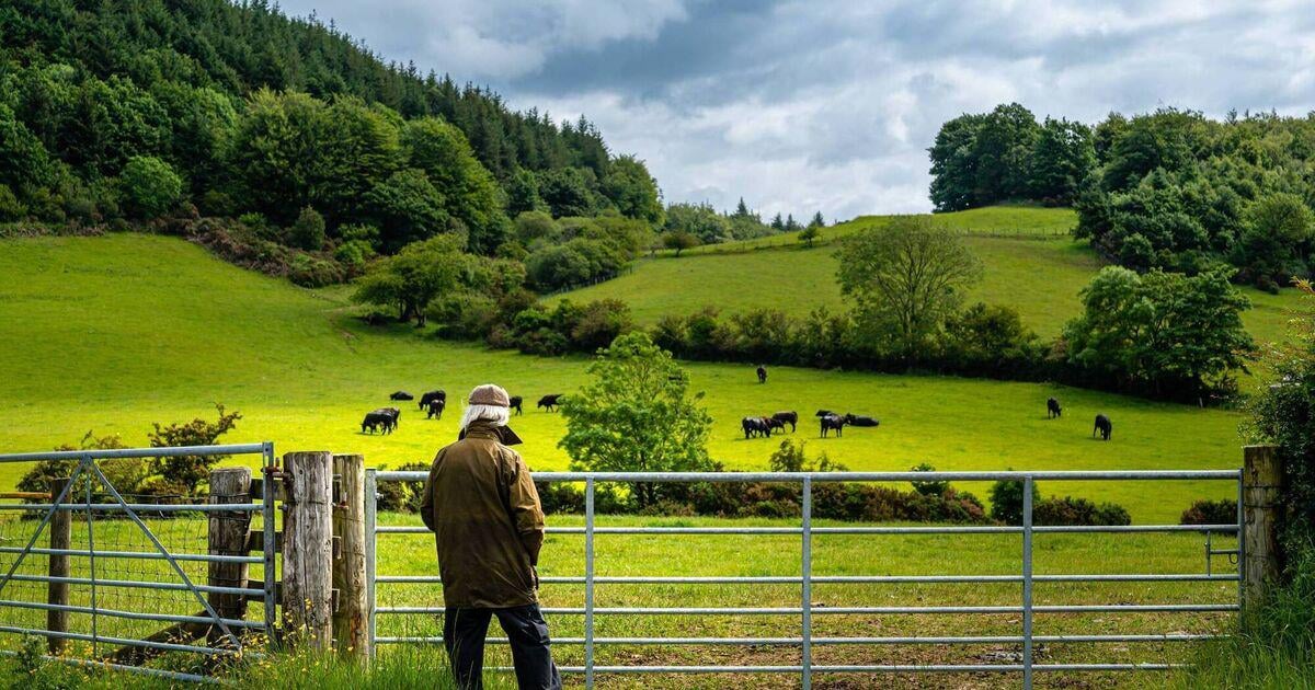 Two in five farmers have no formal successor as ageing demographics fuel looming succession crisis