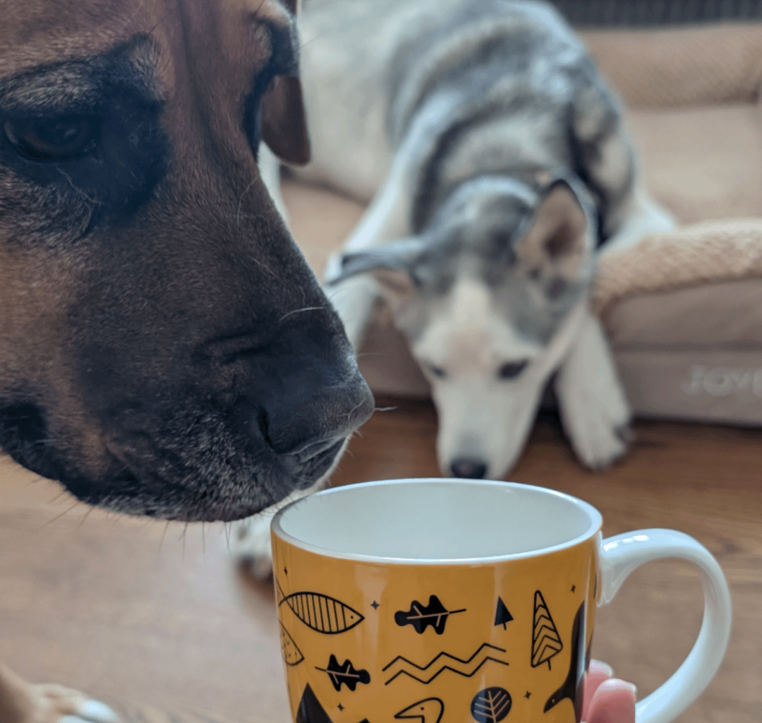 Update on 'Looking For a Miracle' Atlanterhavsparken Coffee Mug