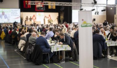 SVP wants better schools (but also cut in education budget)