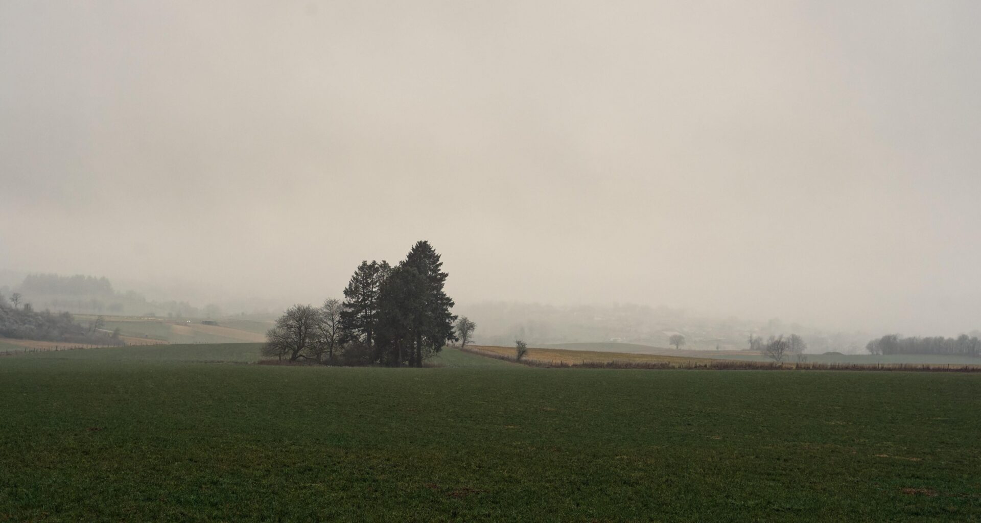 Eislek fog 16:30 today