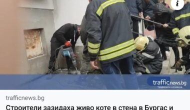 Неприятна ситуация в Бургас 😰