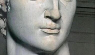 Michelangelov David ima srcolike irise