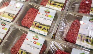 Flæskechecken: Har familier med en husstandsindkomst på op mod 1.000.000 kr. brug for en fødevarecheck?