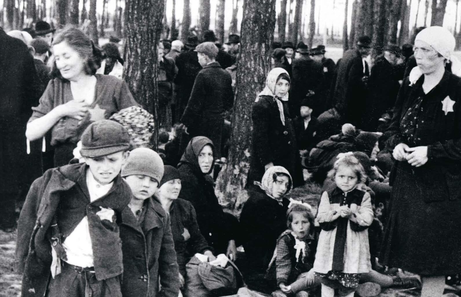 Förintelsens minnesdag. "Aldrig mer". Hur ser du på det?