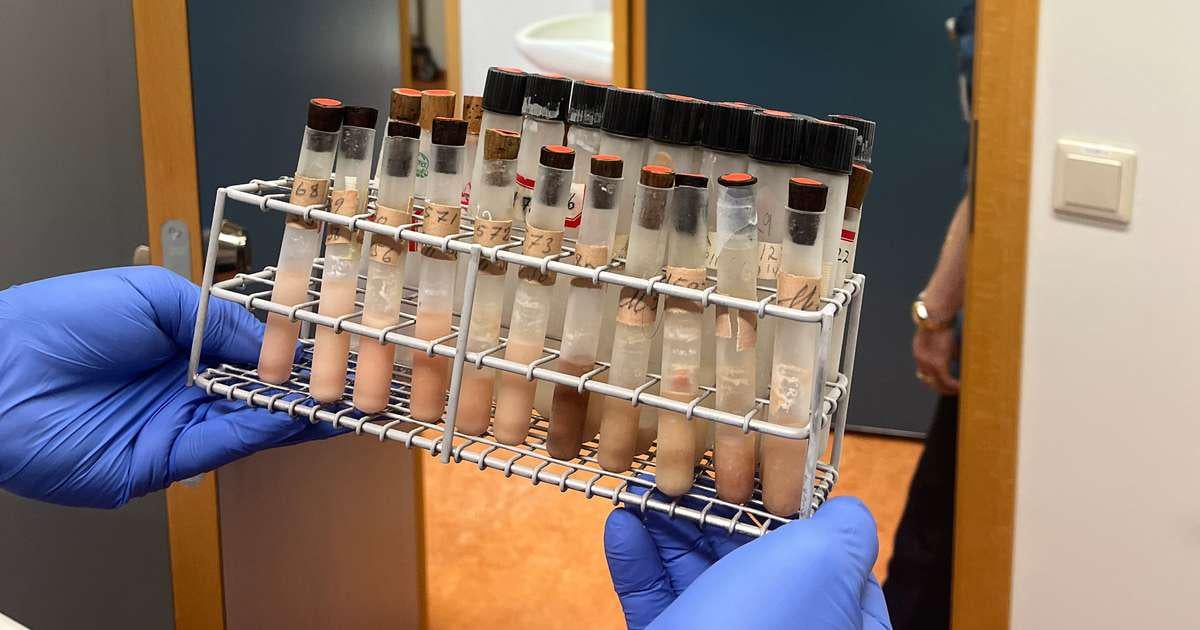 Samsæriskenning!!! Bandaríkin eru á bakvið COVID19 og voru að gera tilraunir með covid á Akureyri 1947…..