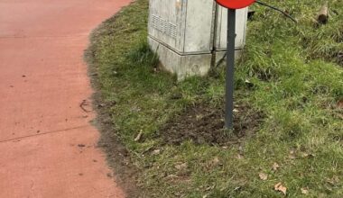 Limburg is reaching peak idiocracy.