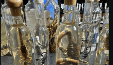 Има ли някои, който пие от обяд