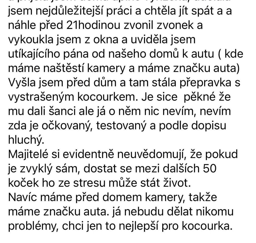 Redditor vyhodil kocoura o kterém tu psal!