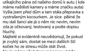 Redditor vyhodil kocoura o kterém tu psal!