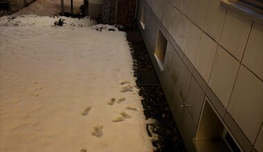 Stranger walking around at 3am