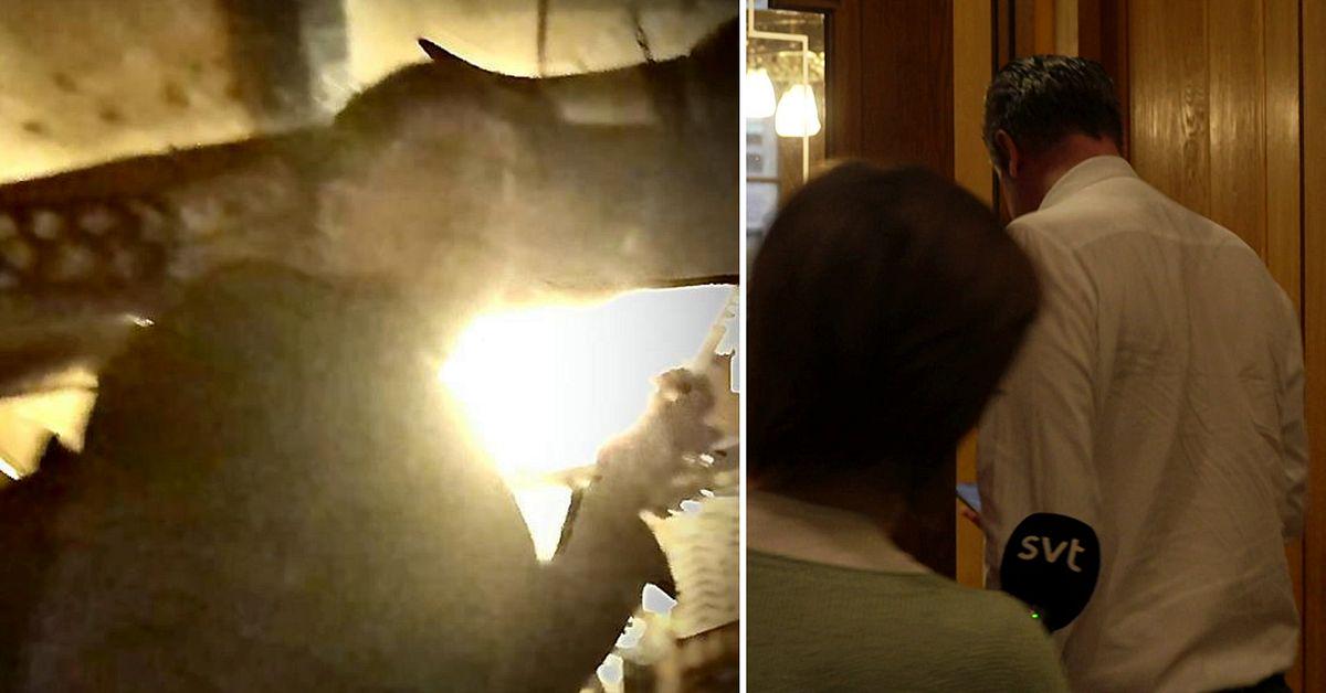 Här besöker Oscar Sjöstedt (SD) den misstänkta svartpuben