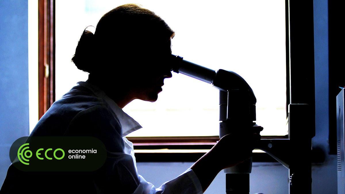 Portugal é dos países que menos atrai imigrantes qualificados de fora da UE