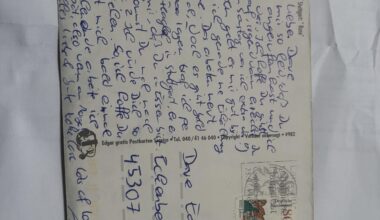 Pls translate this for me