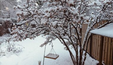 Hey, het heeft gesneeuwd!