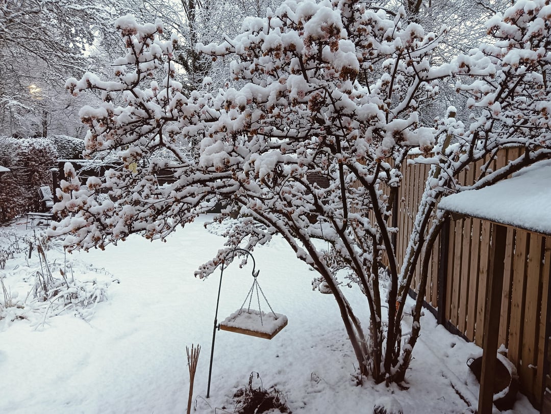 Hey, het heeft gesneeuwd!