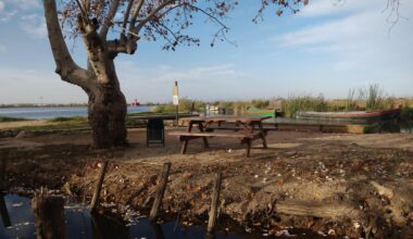 No hay inverno en Valencia, solo dias comodos