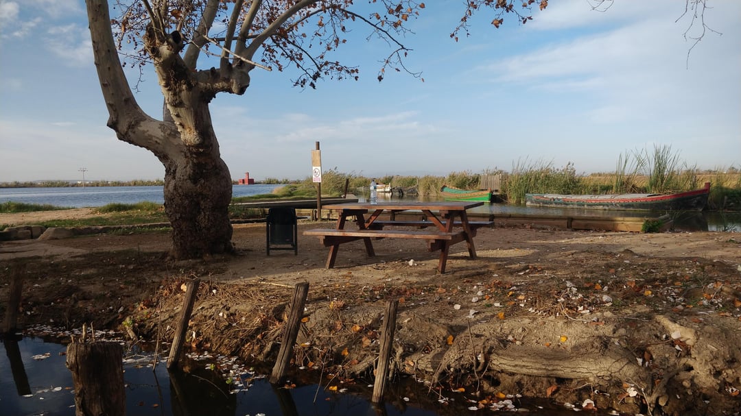 No hay inverno en Valencia, solo dias comodos