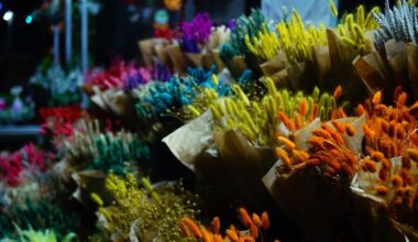 From morning to evening