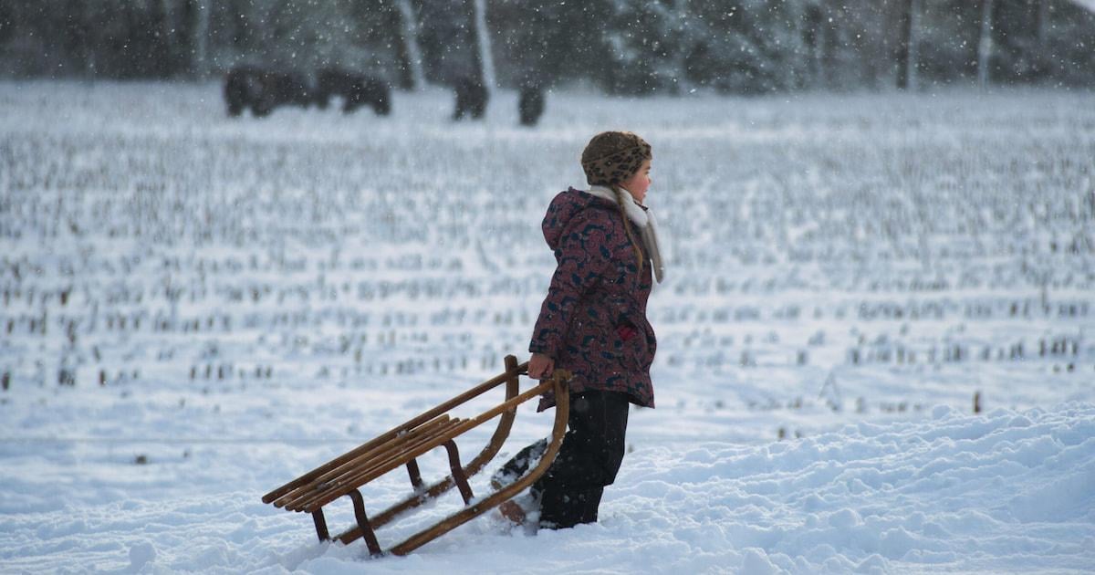 Politie zoekt ‘verdachte man’ die kinderen een gratis slee aanbiedt, maar vindt dan écht een schuur vol sleetjes