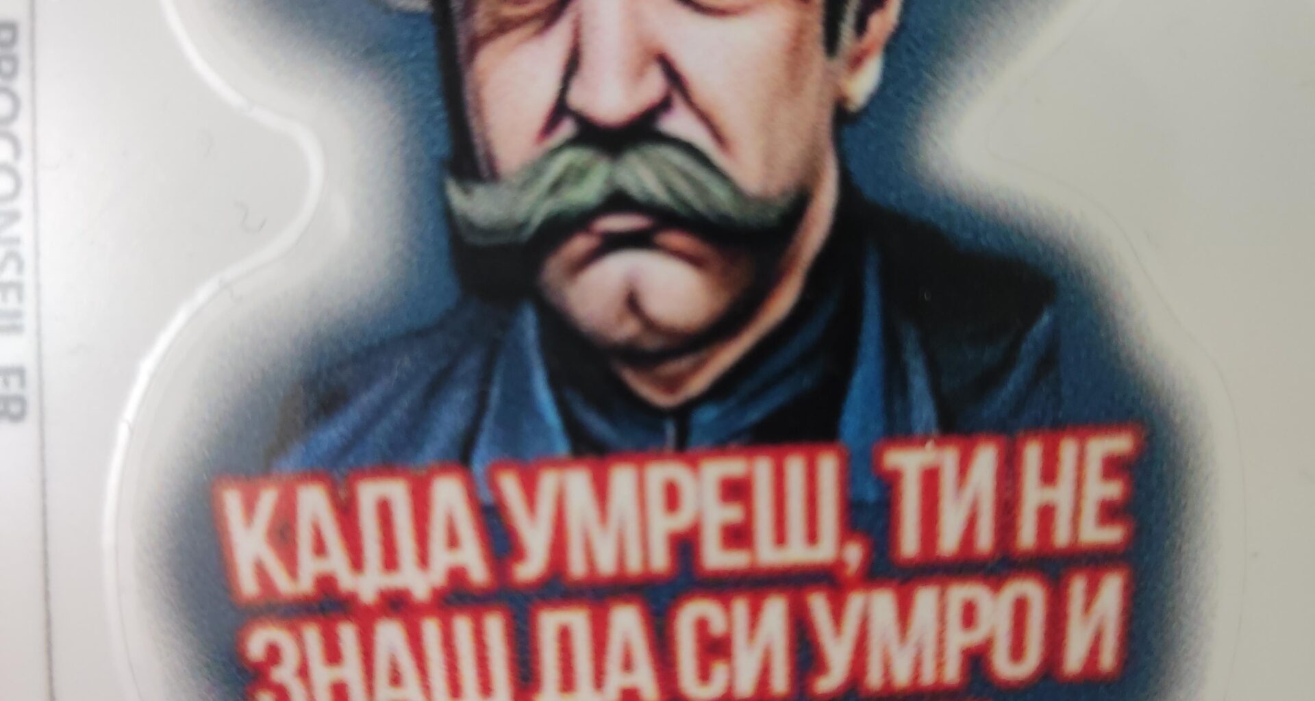 Zoran Radmilović sa Temua