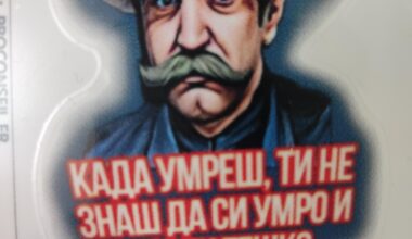 Zoran Radmilović sa Temua