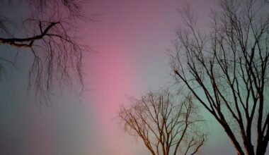 Northern lights in Elmshorn (near Hamburg)