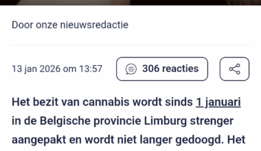 Belgisch Limburg gaat cannabisbezit bestraffen