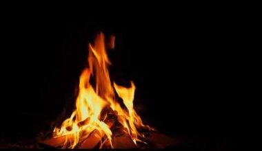 Un Rus care vorbește despre Russia/URSS