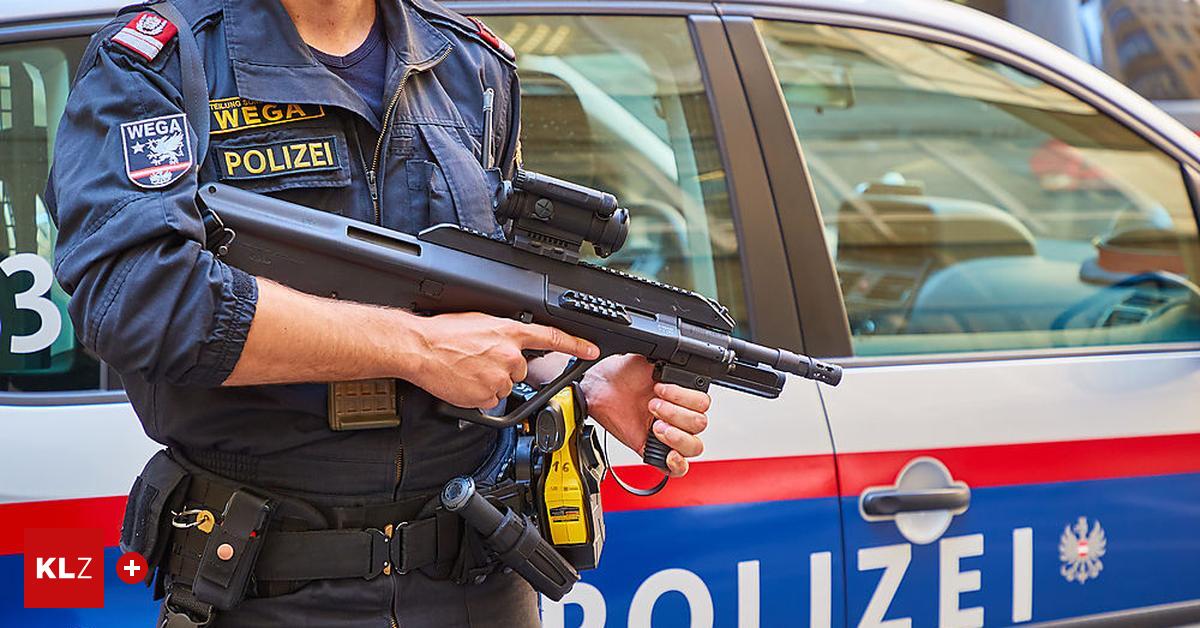 Dienstwaffen bei Polizei in Österreich verschwunden - die Hintergründe