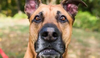 Dane Ger never sleeps