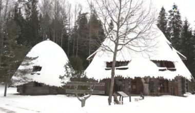 Kas mets sureb ära, kui inimene teda ei "majanda" või "arenda"?