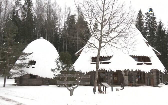 Kas mets sureb ära, kui inimene teda ei "majanda" või "arenda"?