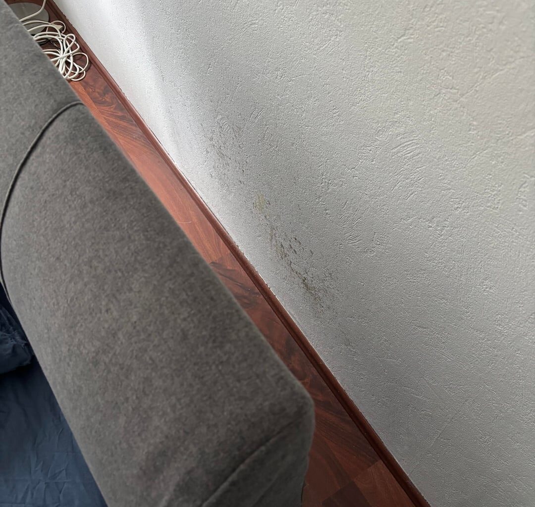 Help getting rid of mild mold behind bed frame