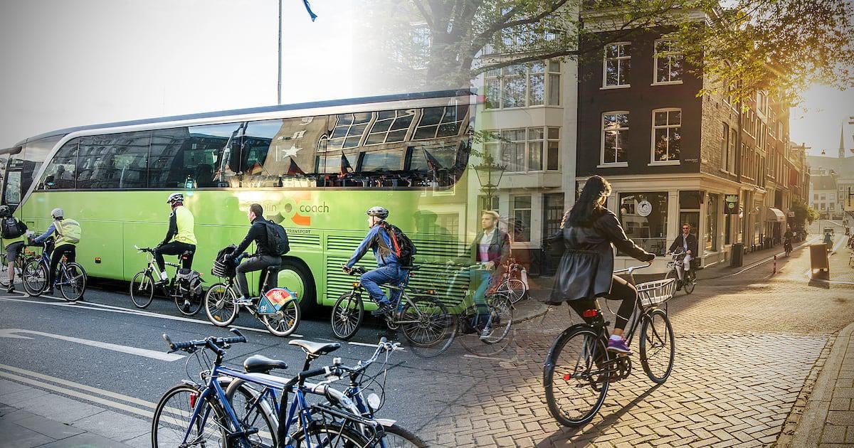 Sarah Moss: The helmets and hi-vis for cyclists are symptoms of the Irish problem, not the solution