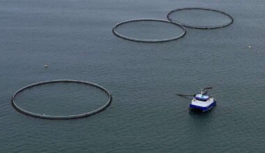 Segir erlent stórfyrirtæki reyna að hafa áhrif á íslenska löggjöf - RÚV.is