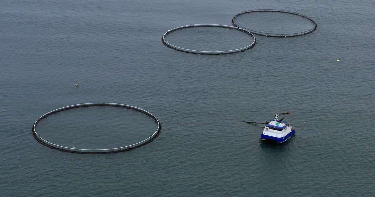 Segir erlent stórfyrirtæki reyna að hafa áhrif á íslenska löggjöf - RÚV.is