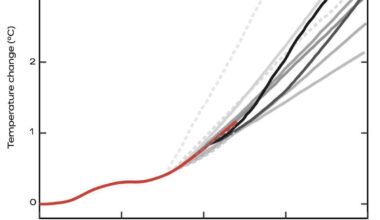 Ef olíufyrirtækin vissu þetta fyrir 40 árum hverju er þá verið að afneita?