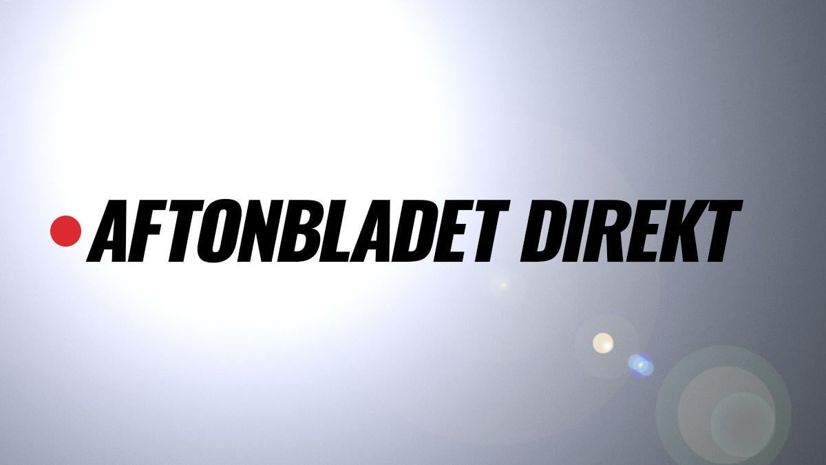 15-tal alpackor på rymmen i Västerås